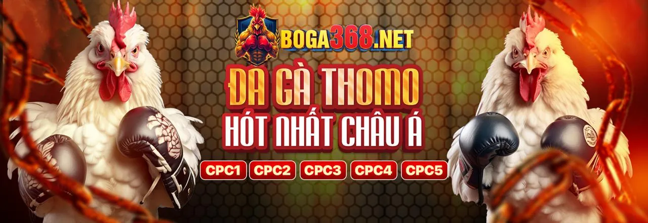 Dịch vụ hỗ trợ khách hàng 1133win App